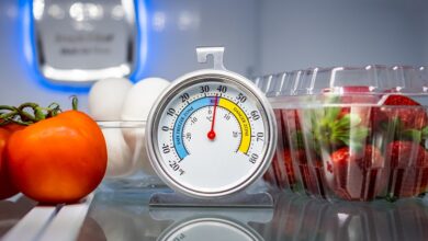 دمای مناسب یخچال فریزر