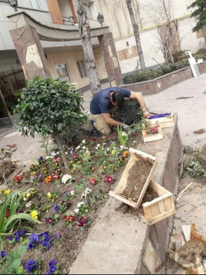 قاسم نودهانی