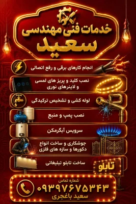 سعید باغجری