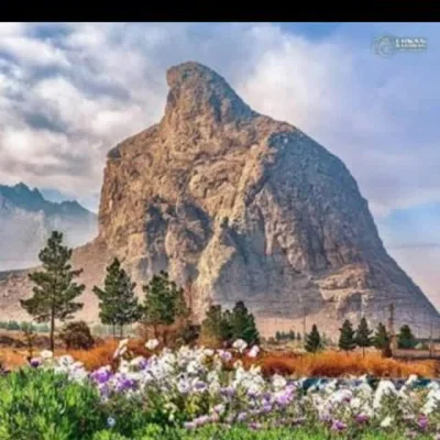 بنادکوکی