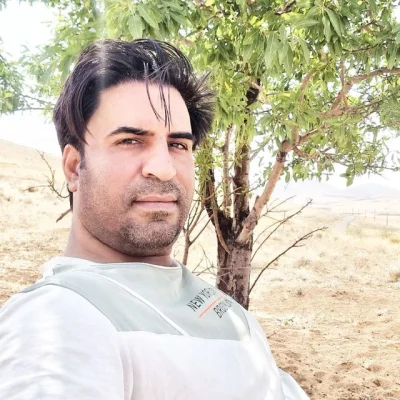 مجتبی عابدی