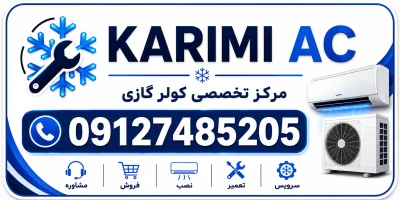 هادی کریمی