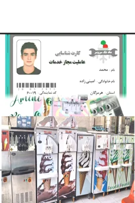 محمد امینی