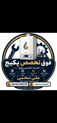 علی محبی