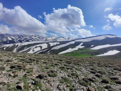 امیرمحمدهدایتی