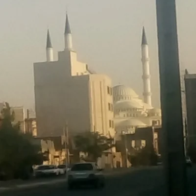 رضا عبدی
