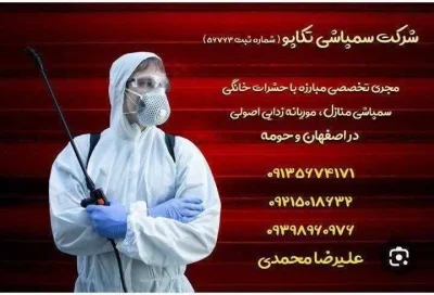 علیرضا  محمدی