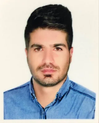 سید مصطفی اولیائی