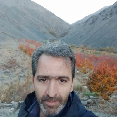 محمد نظامی