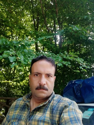 مجید علیرضایی