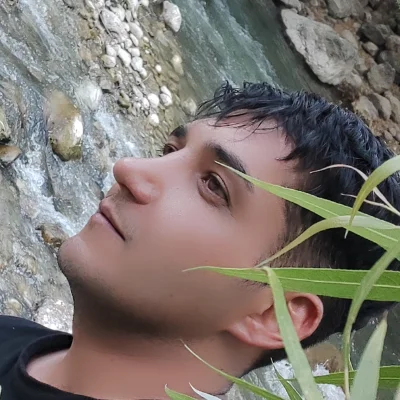 فرشید بختیاری