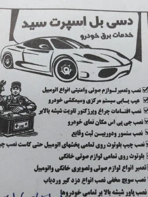 سید طاهر میربزرگی