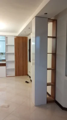 محمود شایان