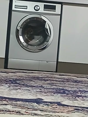 علی اکبر نوظهور