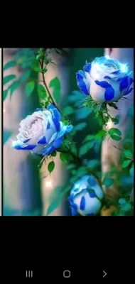 محمدسبزعلیان