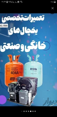 شاهین