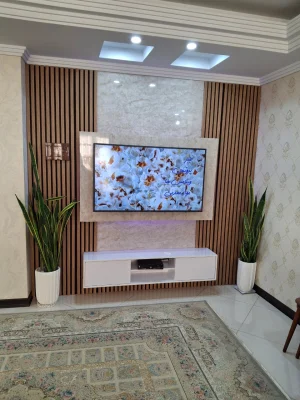 محمدرضا پورصباغ