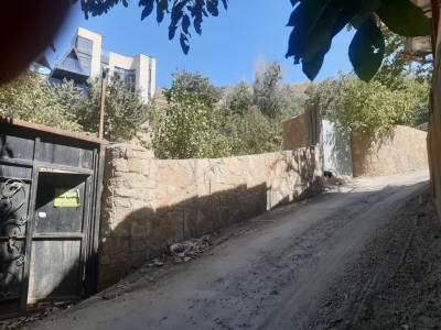 محمدرضا حسن زاده