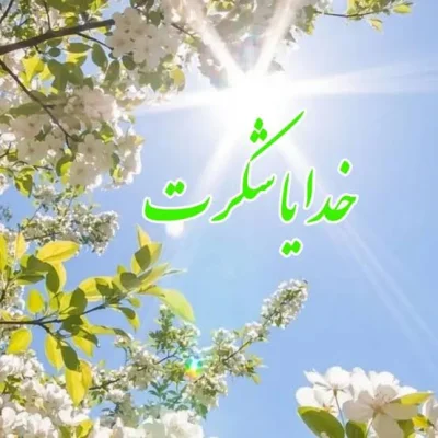 هانیه دارابی