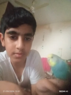 محمد