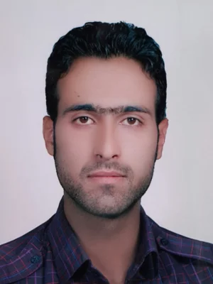 حمید رادمرد طرقی