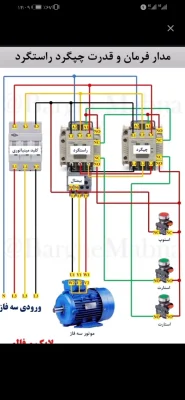 رضا شیخ نظری