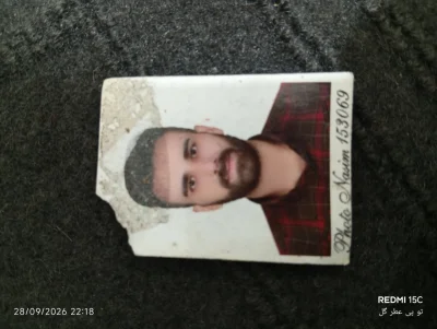 رضا تیرگردان