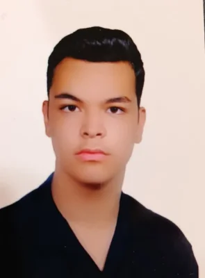 محمد حسین محمودی
