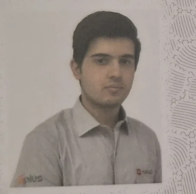 مجتبی تقی لویی
