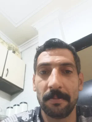 محمود کوهی