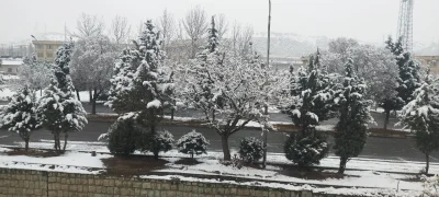 مرتضی خلقی