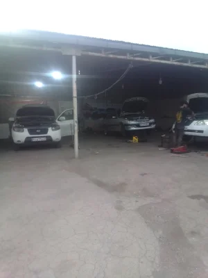 علیرضا میرزایی