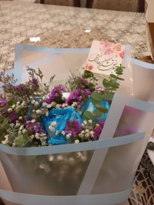 کیمیا تسلیمی