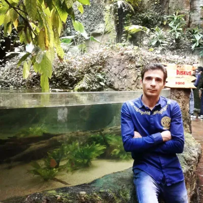 محمد شریفی