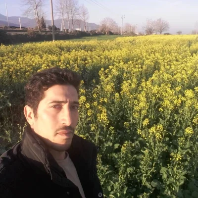محسن پیری