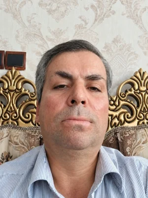 حمید محمدی