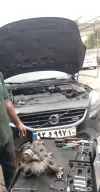 مجتبی شالی