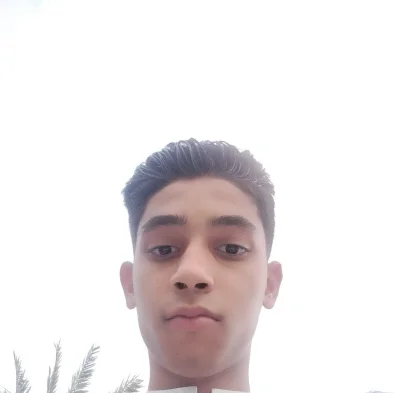 حمزه صالحی