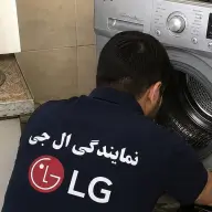 محمود عینی
