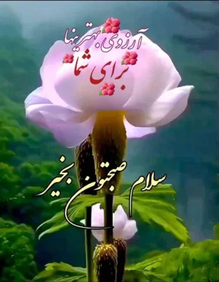 متخصص 9051686259