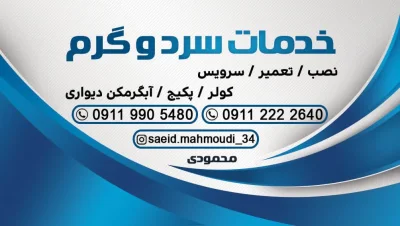 سعیدمحمودی