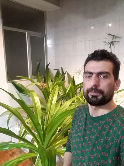 متخصص 9132244740