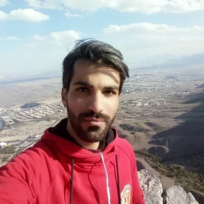 حامد لونی الیگودرزی