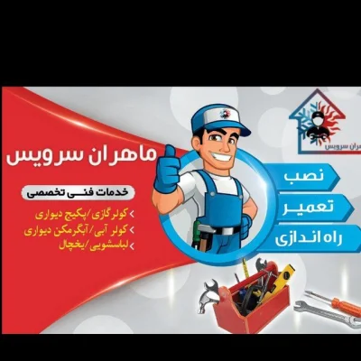 متخصص مجید نصیری