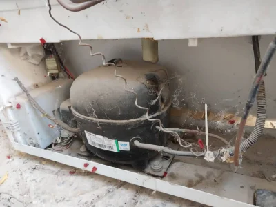 مجتبی کاظمی نژاد