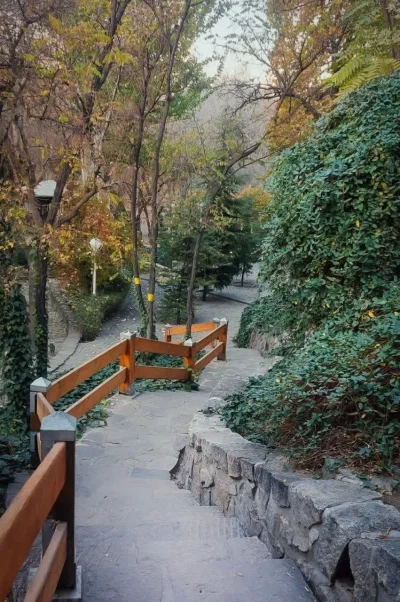 متخصص 9151371997