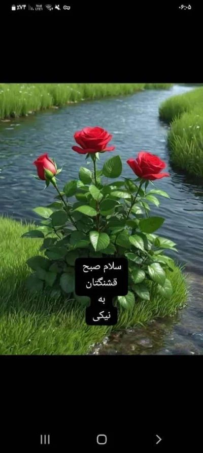 متخصص 9121474207