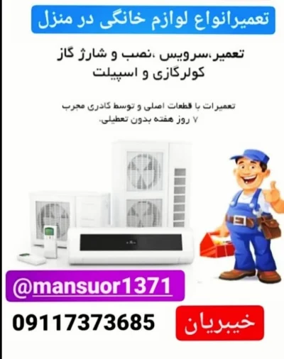 منصور خیبریان