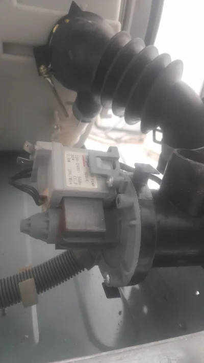 مجتبی نظامی