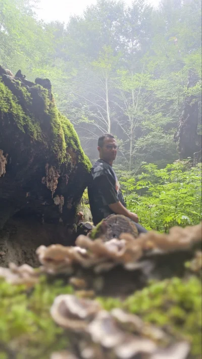 مهدی فرهادی